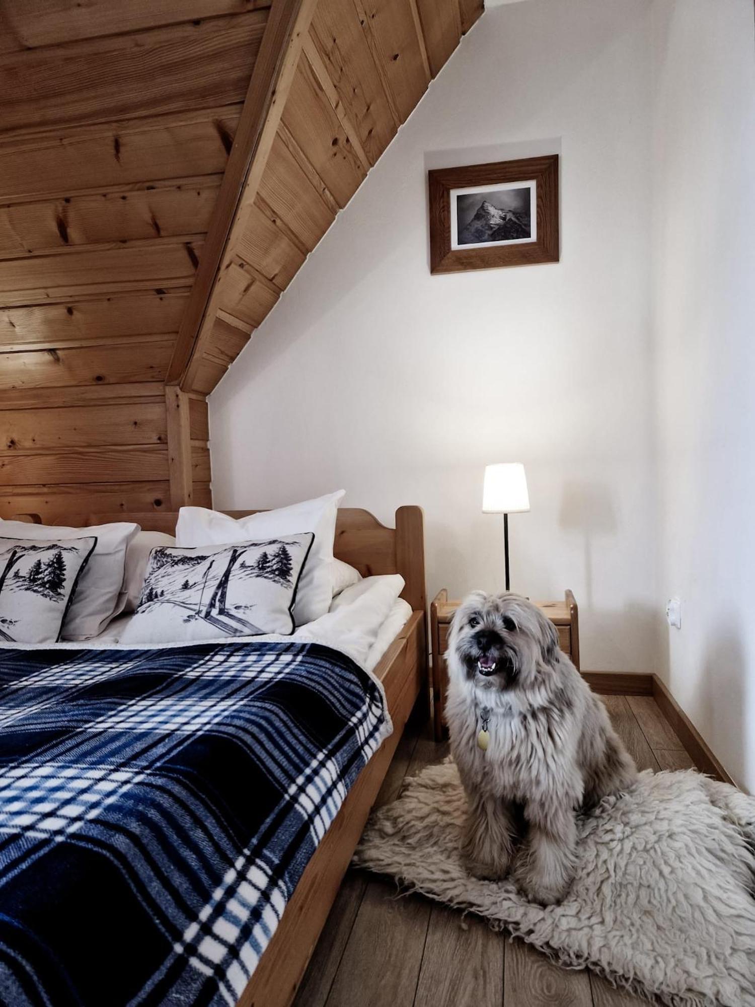 Zakopane Stop Bed & Breakfast Luaran gambar